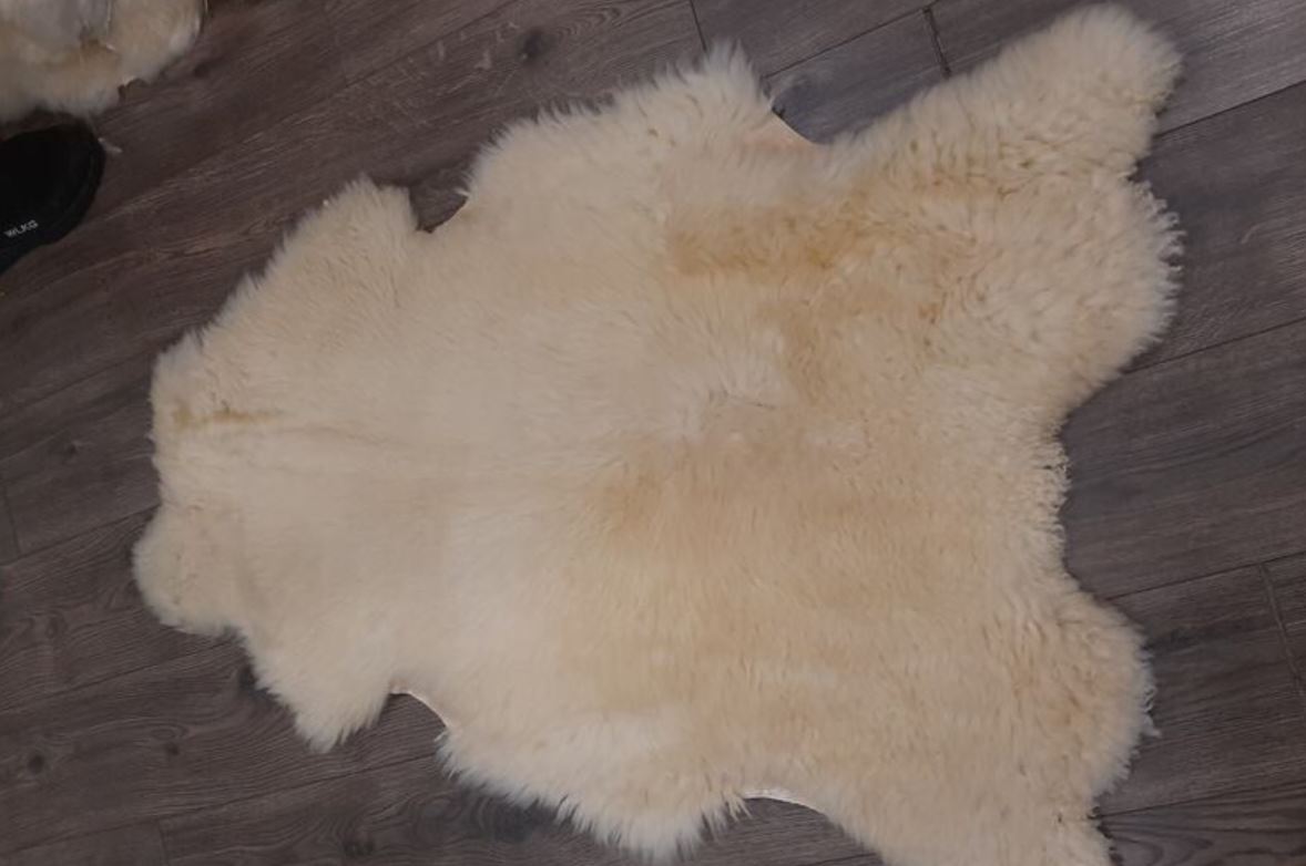 Hakiki Koyun Postu Halı 