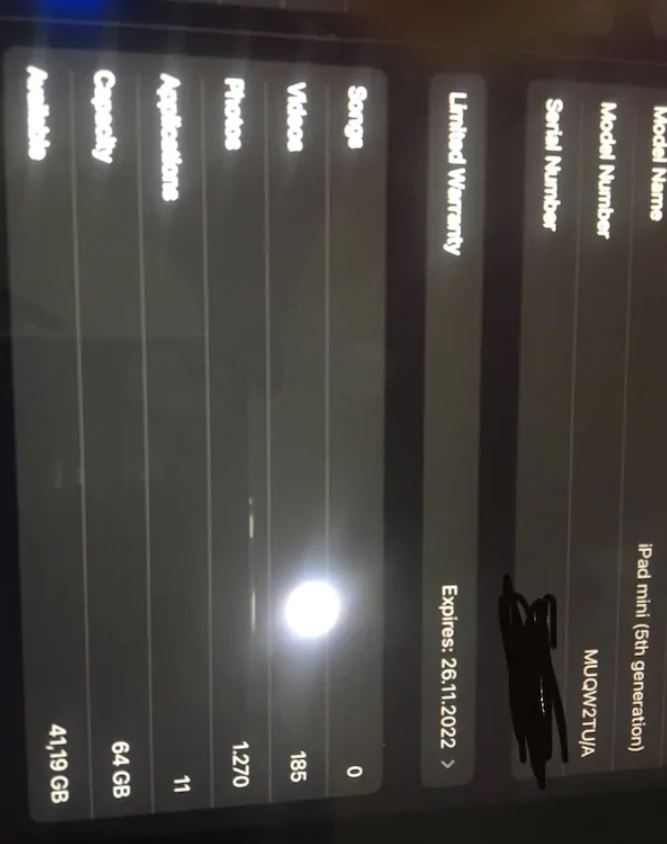 iPad Mini 5 64 GB Gri