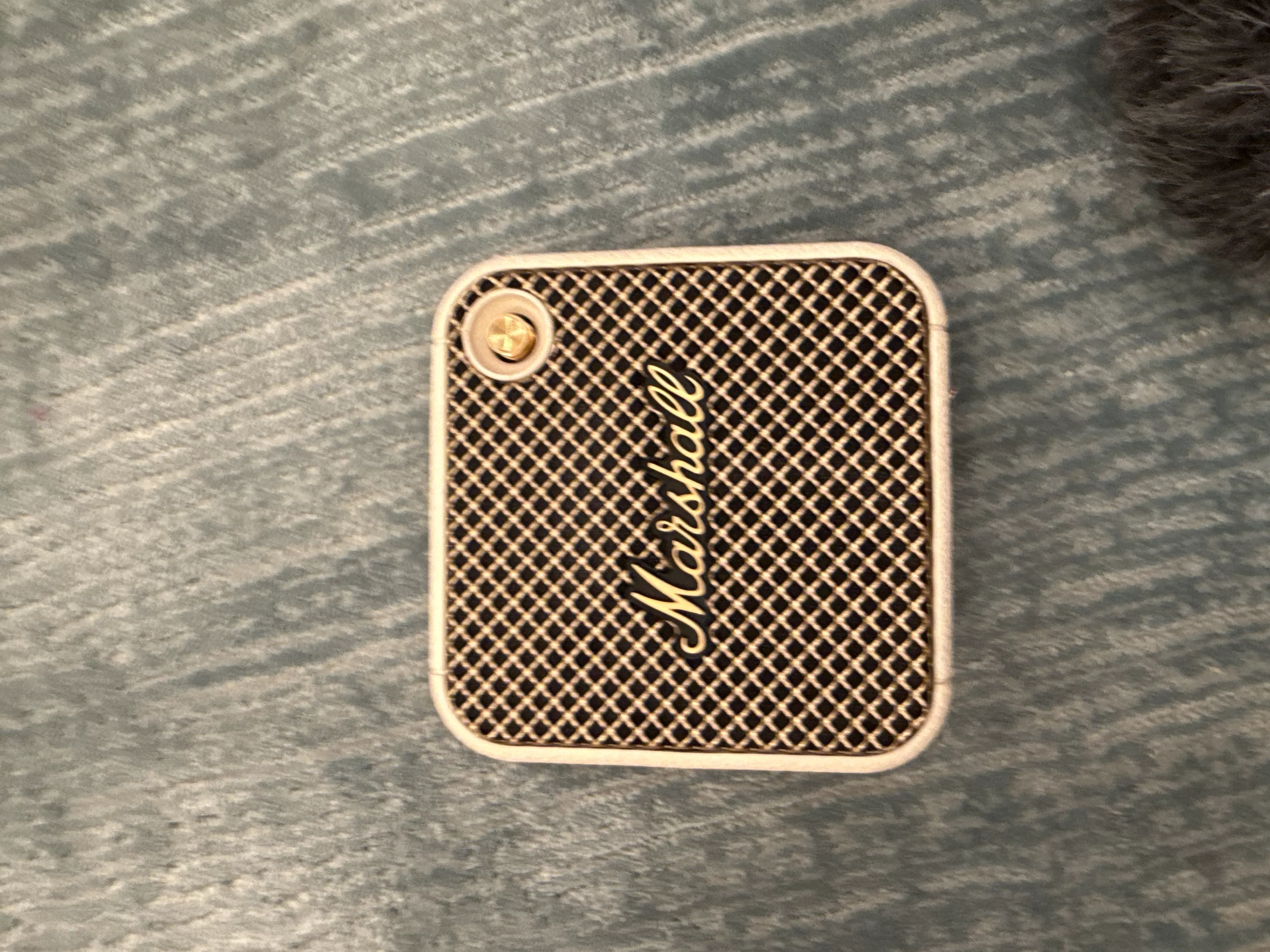 Marshall Willen taşınabilir Bluetooth hoparlör