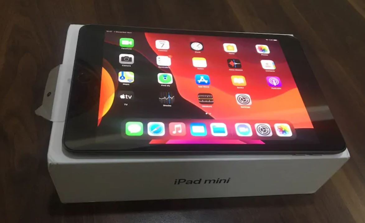 iPad Mini 5 64 GB Gri