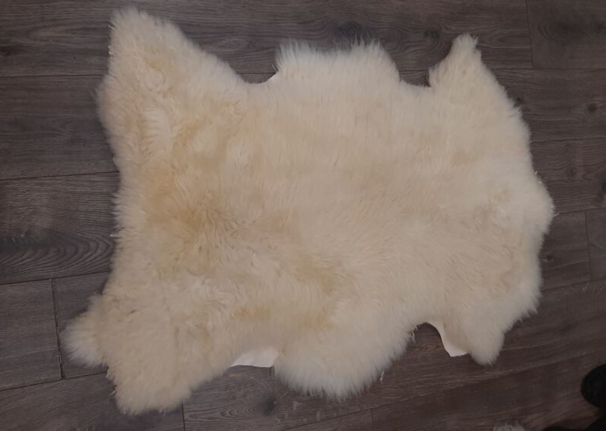 Hakiki Koyun Postu Halı 