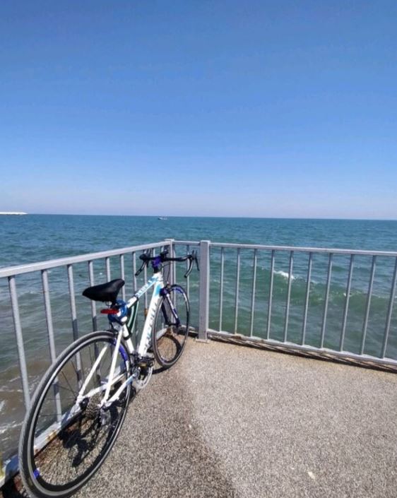 Corelli Yarış Bisikleti