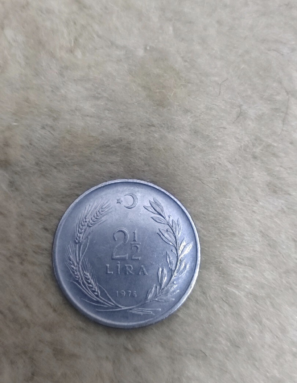 2,5TL Koleksiyonluk Para